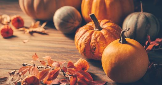 Pumpkins for Thanksgiving on wooden background